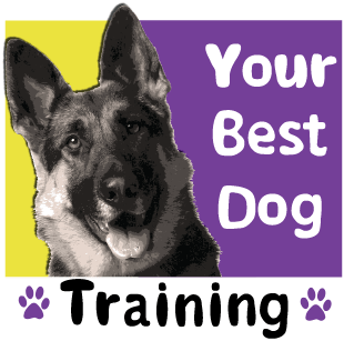 your_best_dog_logo